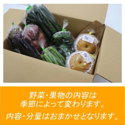 伊万里の新鮮野菜セット【野菜 5種類&フルーツ 1種類】