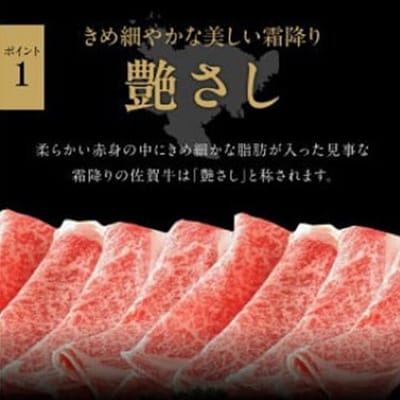 佐賀牛ロース切り落とし肉400g