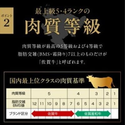 佐賀牛ロース切り落とし肉400g
