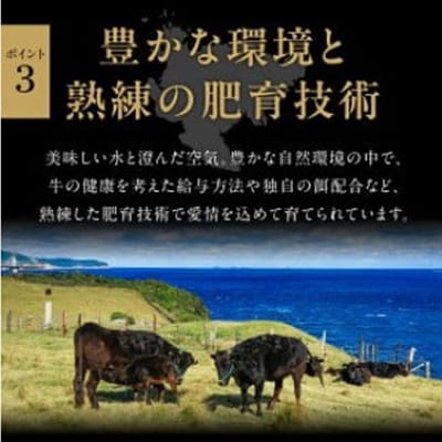 佐賀牛ロース切り落とし肉400g
