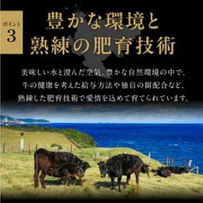 佐賀牛ロースブロック500g