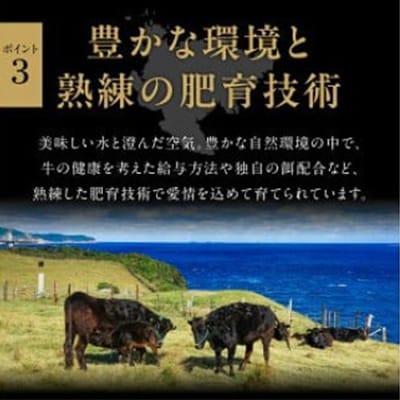 佐賀牛すき焼用230g
