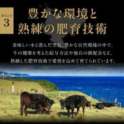 佐賀牛ロースブロック1kg