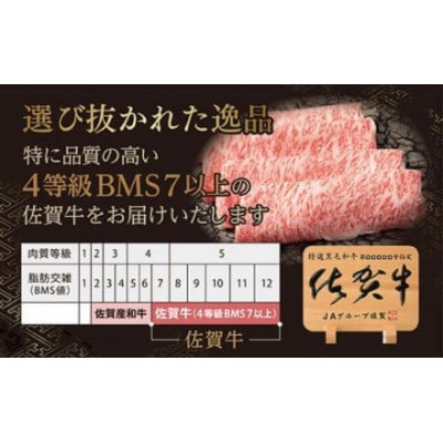 佐賀牛 サーロイン ステーキ 2枚 合計520g