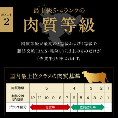【発送月固定定期便】佐賀牛 毎月お楽しみ便(J897)全12回