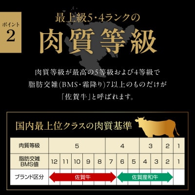 【発送月固定定期便】佐賀牛毎月贅沢便コース全12回