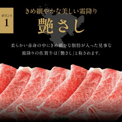 【発送月固定定期便】佐賀牛毎月プレミアム定期便全12回