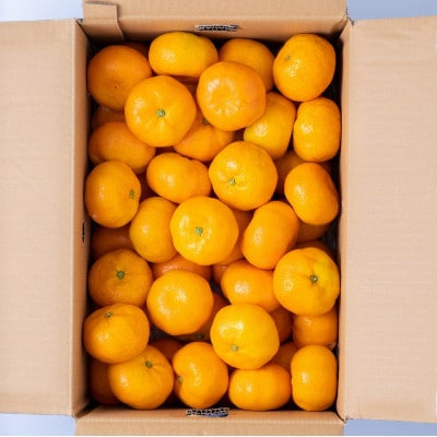 柑橘の名産地!佐賀産【夏】のハウスみかん約5kg(伊万里市)