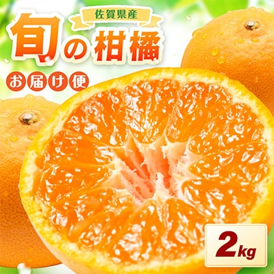 季節の柑橘をお届けします。佐賀産かんきつ2kg