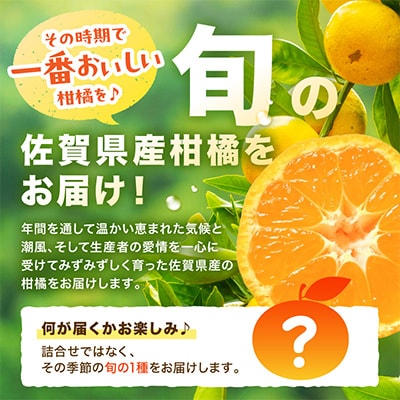 季節の柑橘をお届けします。佐賀産かんきつ2kg