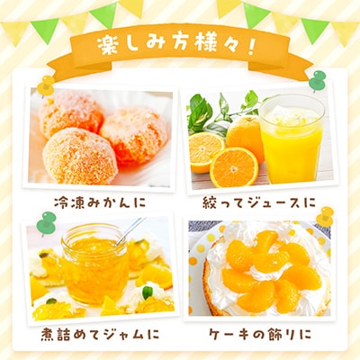 季節の柑橘をお届けします。佐賀産かんきつ2kg