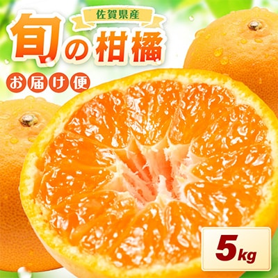 季節の柑橘をお届けします。佐賀産かんきつ5kg
