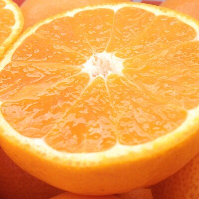 かんきつの名産地の佐賀より!冬の定番!佐賀産さがみかん約5kg箱(伊万里市)