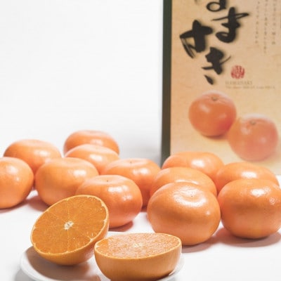 佐賀産高級かんきつ「はまさき」約3kg箱(10-15玉)(伊万里市)