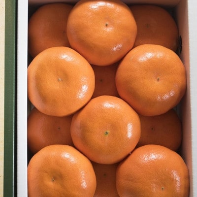 佐賀産高級かんきつ「はまさき」約1.5kg箱(5-8玉)(伊万里市)