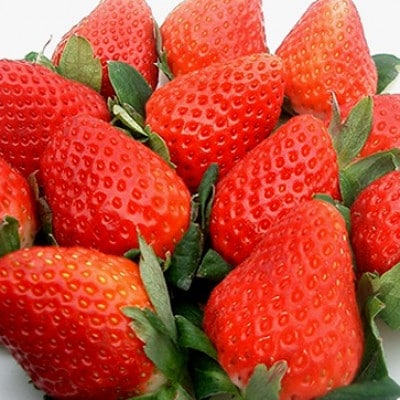 【2026年発送先行受付】佐賀産 さがほのか4パック(伊万里市)