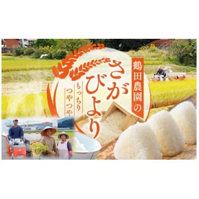 令和4年伊万里産　鶴田農園の「さがびより」10kg