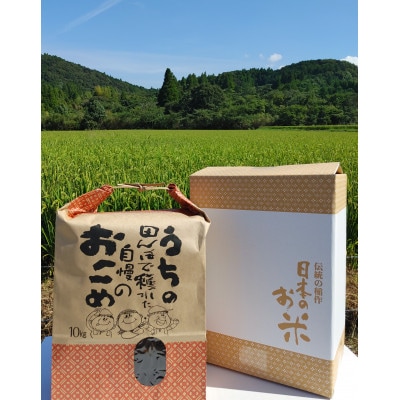 令和4年伊万里産　鶴田農園の「さがびより」10kg