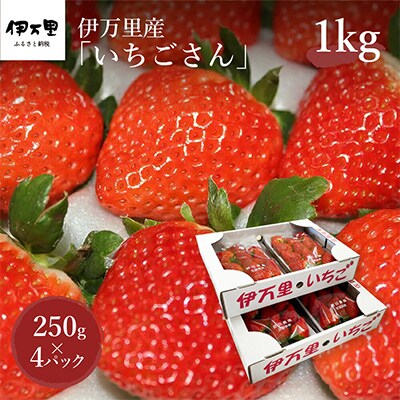 伊万里産「いちごさん」250g×4パック　～鶴田農園～