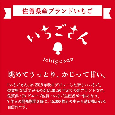 伊万里産「いちごさん」250g×4パック　～鶴田農園～