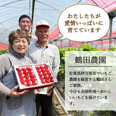 伊万里産「いちごさん」250g×4パック　～鶴田農園～