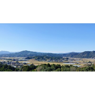 伊万里産　大きい粒「いちごさん」　450g×2パック　～鶴田農園～