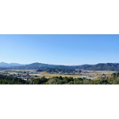 令和7年 伊万里産 鶴田農園の「さがびより」10kg