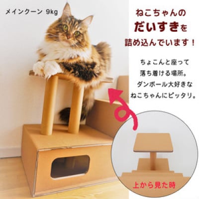 段ボール　キャットタワー【ペット遊具】