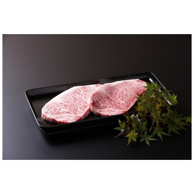 佐賀牛サーロインステーキ 400g(200g×2枚) 2人前 真空パックでお届け