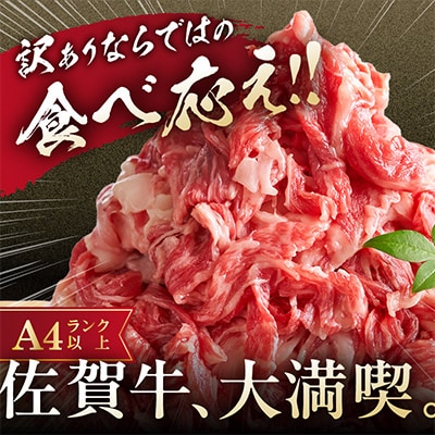 艶さし!【A4～A5】佐賀牛切り落とし　1kg(500g×2パック)(伊万里市)