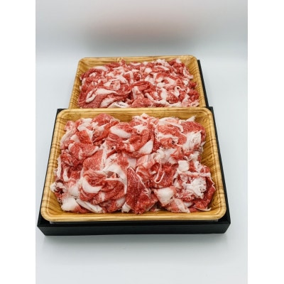 訳アリ!【A4～A5】佐賀牛切り落とし　5kg(500g×10パック)(伊万里市)