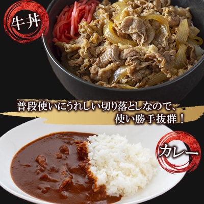 訳あり!艶さし!【A4～A5】佐賀牛切り落とし　600g(伊万里市)
