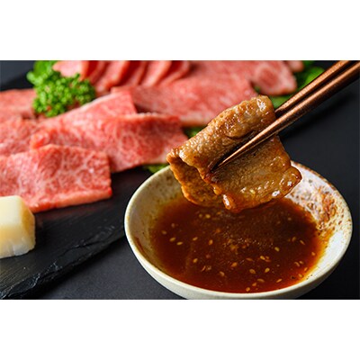 【毎月定期便】訳あり!艶さし!【A4～A5】佐賀牛焼肉切り落とし　500g(伊万里市)全12回