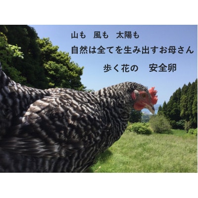 歩く花の自然卵　6個入り×2箱