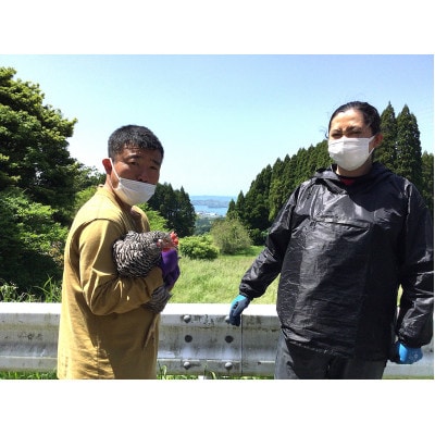 歩く花の自然卵　6個入り×2箱