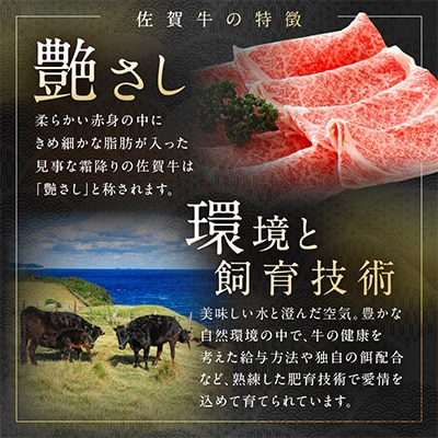【A5ランク佐賀牛】三栄の佐賀牛スライス(約500g)(伊万里市)