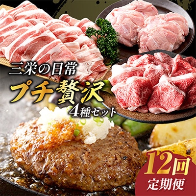 【毎月定期便】三栄の日常プチ贅沢セット(伊万里市)全12回