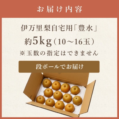 【令和6年産先行予約】伊万里梨 「豊水」 約5kg(約10～16玉)　B161