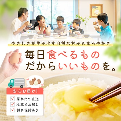 ばあちゃんの昔たまご　10個入り×4パック