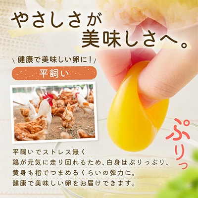 ばあちゃんの昔たまご　10個入り×4パック