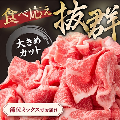 伊万里牛 切り落とし 800g 炒め物 焼肉 牛丼におすすめ!