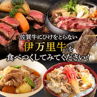 【発送月固定定期便】【伊万里牛】モモスライス入り ヒレステーキ 満足コースJ252全6回