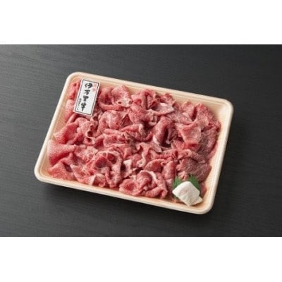 【発送月固定定期便】【伊万里牛】モモスライス入り ヒレステーキ 満足コースJ252全6回