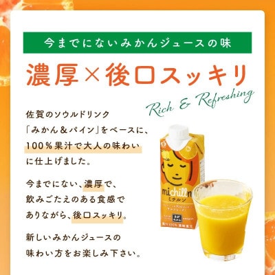 【佐賀県産温州みかん使用】 果汁 ミックスジュース　ミチルン　330ml×12本