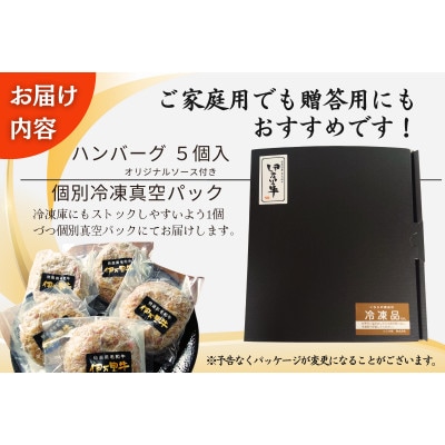 【殿堂入り!】伊万里牛ハンバーグ　5個入