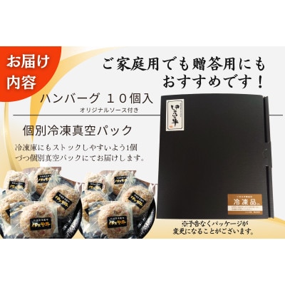 【殿堂入り!】伊万里牛ハンバーグ　10個入