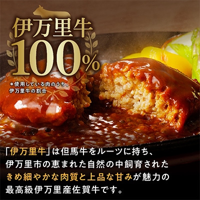 【伊万里牛100%使用】ちょっと贅沢おうちごはん!プレーン 70g×14&デミバーグ 150g×10