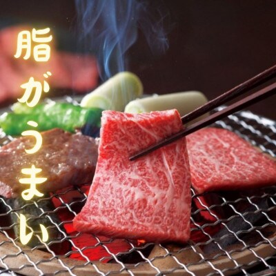 【伊万里牛】上質な脂がうまい!!肩ロース焼肉 580g(伊万里市)