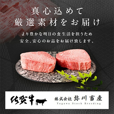 【発送月固定定期便】肉の定期便!佐賀牛を3ケ月に1回お届け!全4回
