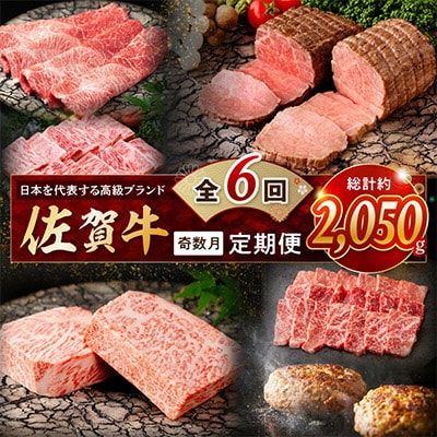 【発送月固定定期便】肉の定期便!厳選佐賀牛隔月お届け(奇数月)全6回